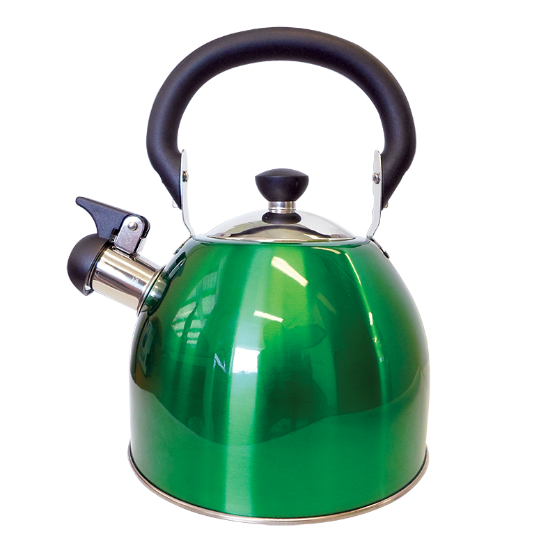 Coast Green Whistling Kettle (2.5Lt)