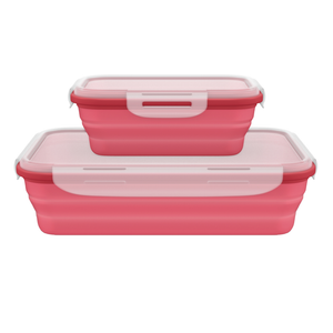 Collapsible Silicone Lunch Box Set Of 2