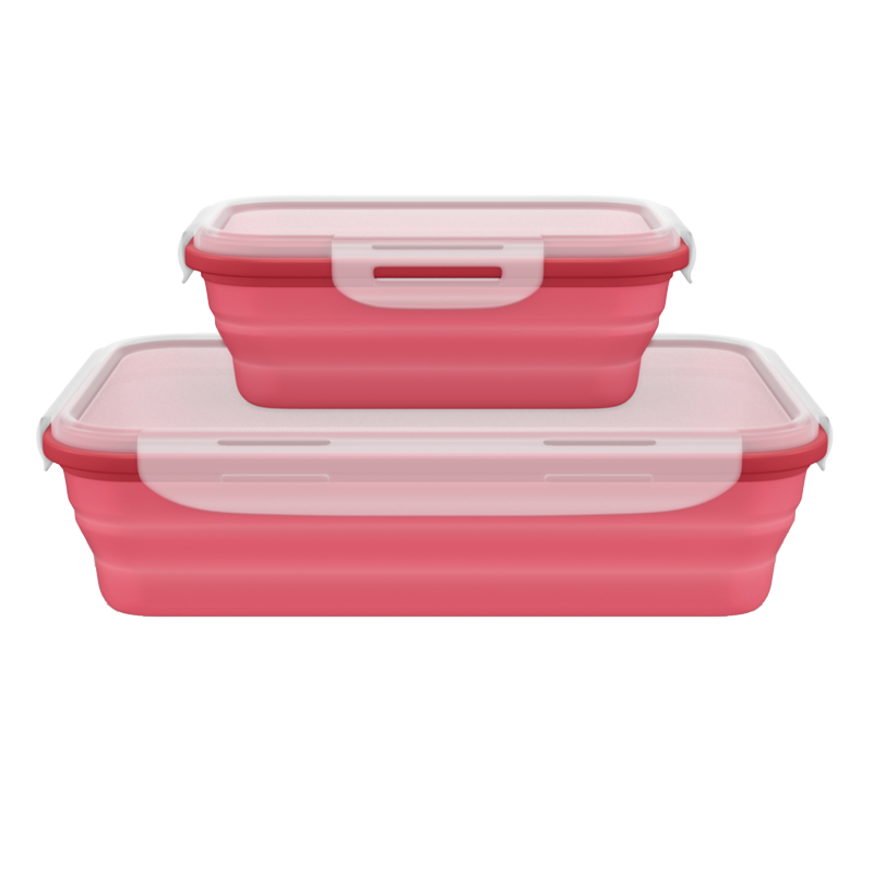 Collapsible Silicone Lunch Box Set Of 2