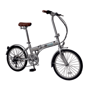 RV Coaster Folding Bike - Silver