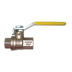 Ball Valve BSP Female x BSP Female 1/4" x 1/4"