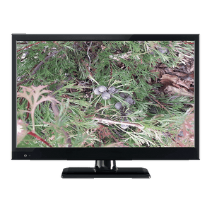 Sphere Onyx S2 23.6" FHD LED TV DVD Combo